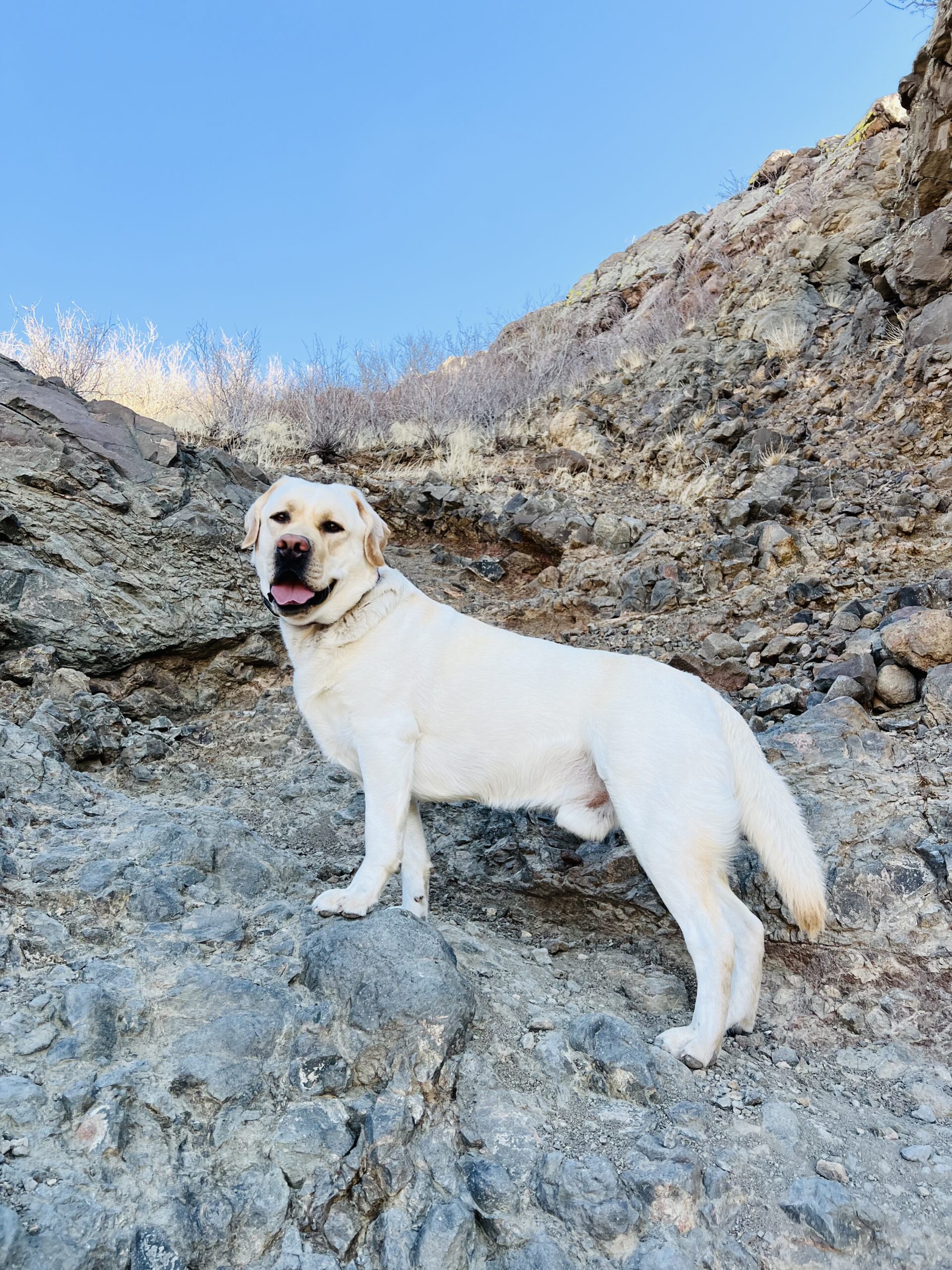 12F03271-D1B2-4B81-8FF8-14B20666AEC8